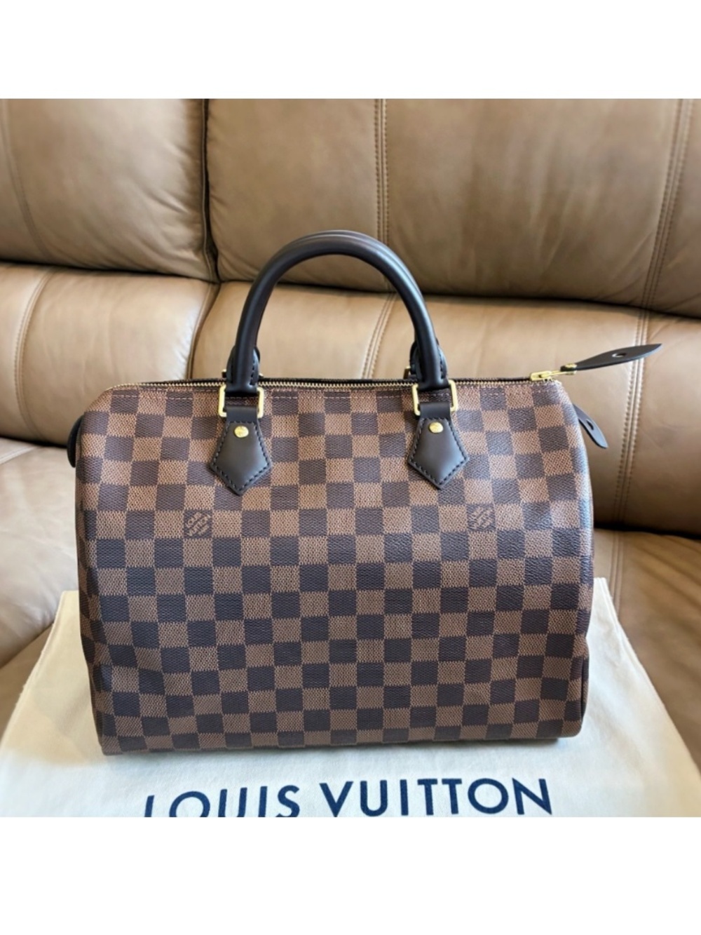 Microchip Louis Vuitton Classic Speedy 30 Damier Ebene Bag New Model